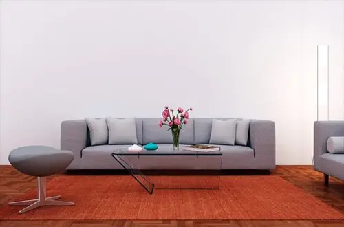 Area-Rug-Cleaning--in-Grayson-Georgia-area-rug-cleaning-grayson-georgia.jpg-image