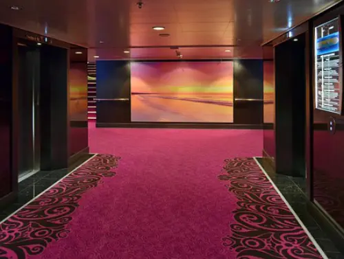 Carpet-Cleaners--in-Alpharetta-Georgia-carpet-cleaners-alpharetta-georgia.jpg-image