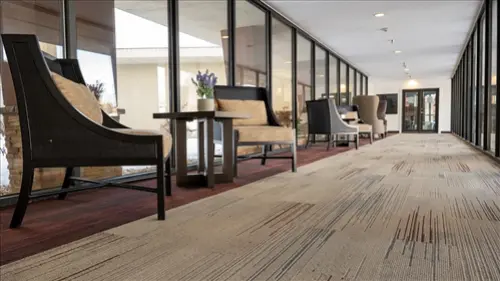Carpet-Steam-Cleaning--in-Stone-Mountain-Georgia-carpet-steam-cleaning-stone-mountain-georgia.jpg-image